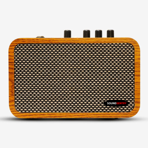 WOODEN PORTABLE 10W GUITAR AMPLIFIER BlackNote10