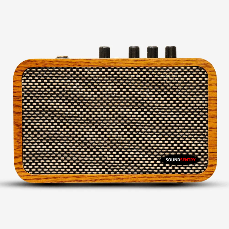 BlackNote10 wooden portable 10W guitar amplifier