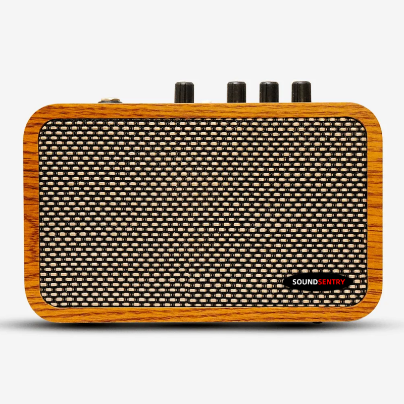 WOODEN PORTABLE 10W GUITAR AMPLIFIER BlackNote10