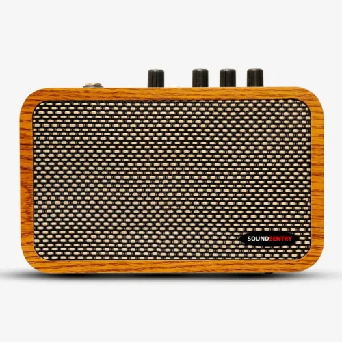 WOODEN PORTABLE 10W GUITAR AMPLIFIER BlackNote10 WOODEN PORTABLE 10W GUITAR AMPLIFIER BlackNote10