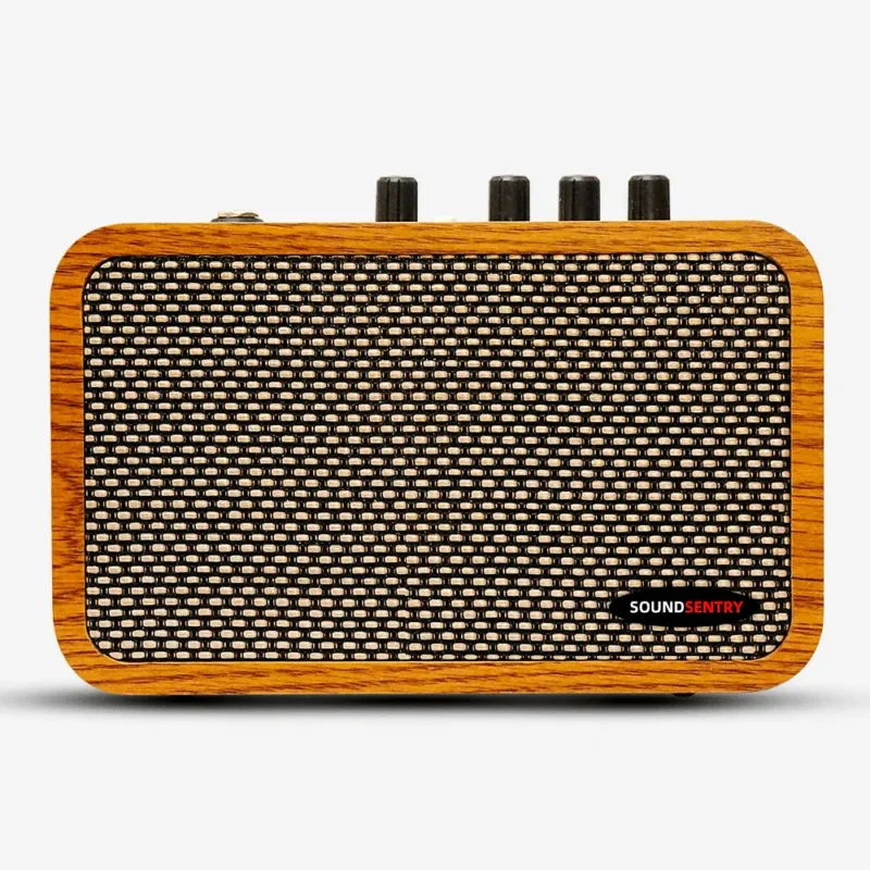 WOODEN PORTABLE 10W GUITAR AMPLIFIER BlackNote10 WOODEN PORTABLE 10W GUITAR AMPLIFIER BlackNote10