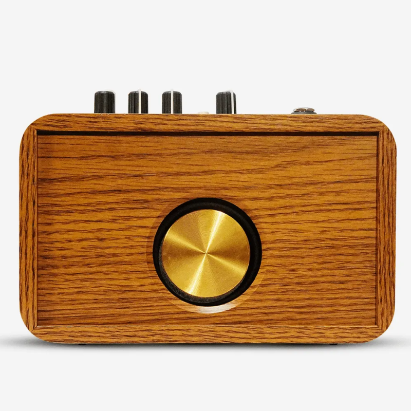 WOODEN PORTABLE 10W GUITAR AMPLIFIER BlackNote10