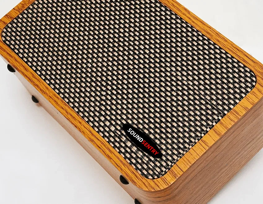 BlackNote10 guitar amplifier Bluetooth and sound control functions
