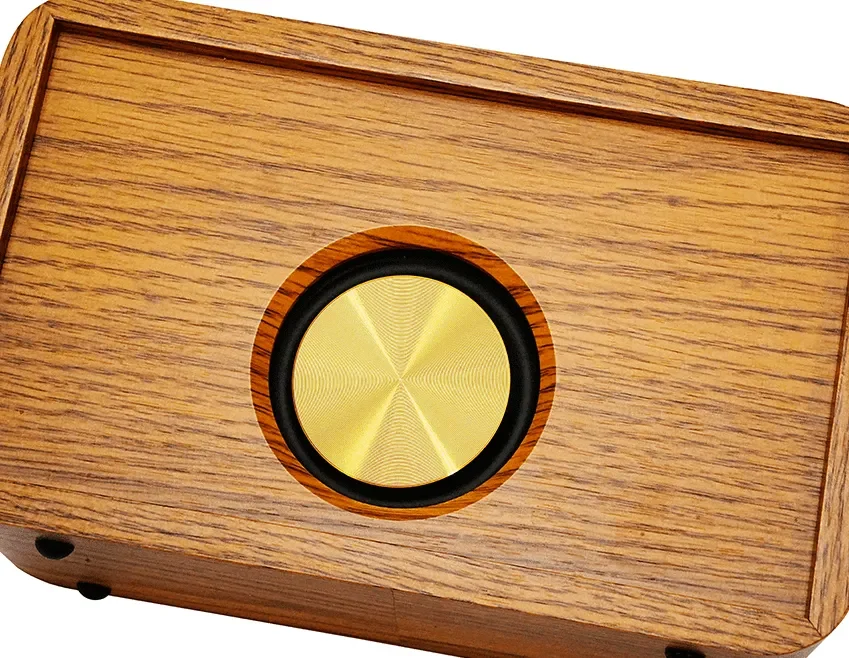 BlackNote10 wooden guitar amplifier cabinet and speaker detail